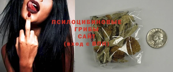тгк Медвежьегорск
