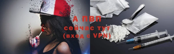 тгк Медвежьегорск