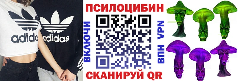 цены наркотик Чебаркуль Галлюциногенные грибы Psilocybe