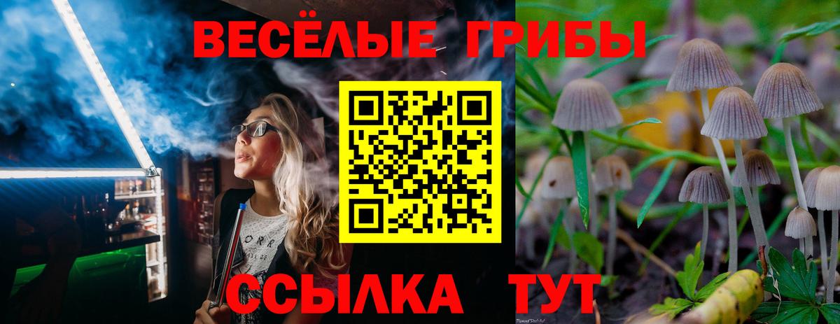 Псилоцибиновые грибы Magic Shrooms Чебаркуль