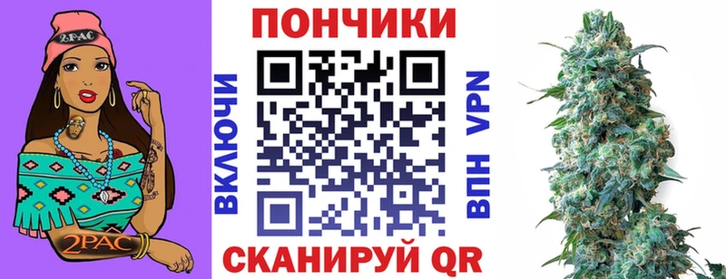 shop официальный сайт  kraken вход  Чебаркуль  Марихуана SATIVA & INDICA 